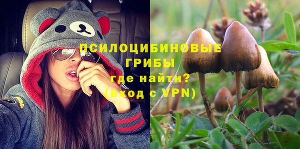 apvp Армянск