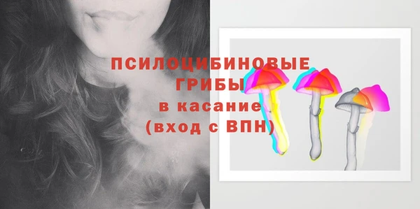 бошки Арсеньев