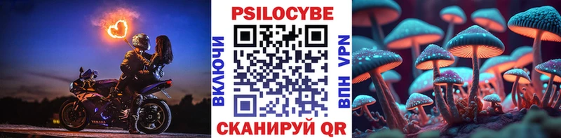 где можно купить   Армянск  ссылка на мегу онион  Псилоцибиновые грибы GOLDEN TEACHER 